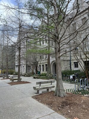 Tulane University by null