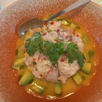Gracie - CEVICHE !!!!!!  Best ever.... - Cocktail Bars Near Me - Santa Barbara, California