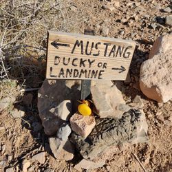Rubber Duck Trail - Follow the "DUCKY" direction...