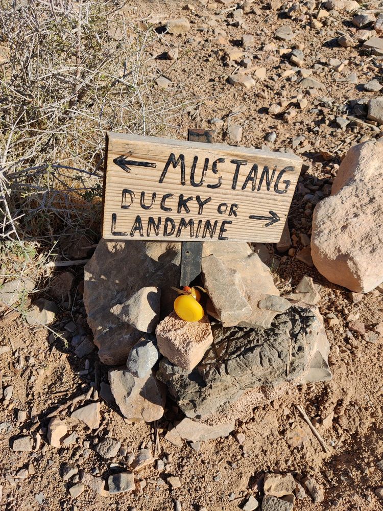 Rubber Duck Trail Logo