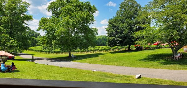 Robin Hill Farm and Vineyards by null