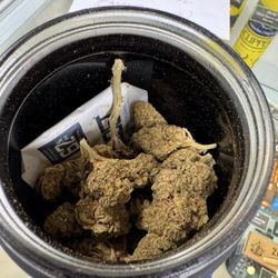 Cannabis House - This is one ounce of so-called Premium product that was actually 2 years old. It was unusable garbage, and the store l laughed it off.