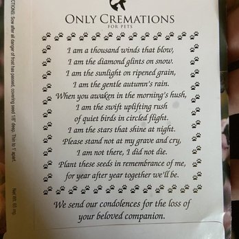 Western Veterinary Group - The poem on the back of a package of Forget Me Not seeds that was on the little package - Veterinarians Near Me - Torrance, California Western Veterinary Group - The poem on the back of a package of Forget Me Not seeds that was on the little package - Veterinarians Near Me - Torrance, California