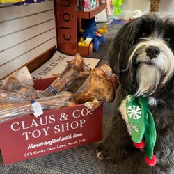 Pups of Lewes - Great looking PUPS treats!