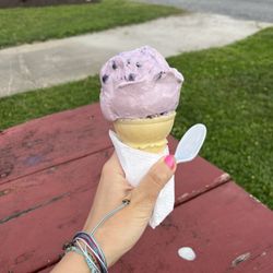 Blueberry cone