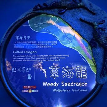 香港海洋公園 - Aquariums Near Me - Hong Kong, HK