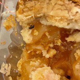 Apple pie with dead bug Apple pie with dead bug
