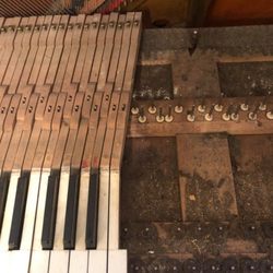 Unison Piano Service - You never know what is lurking under those keys! Get a pro to clean your piano so that you and your kids aren't breathing this when playing!