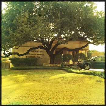 Griffith Small Animal Hospital - Veterinarians Near Me - Austin, Texas Griffith Small Animal Hospital - Veterinarians Near Me - Austin, Texas