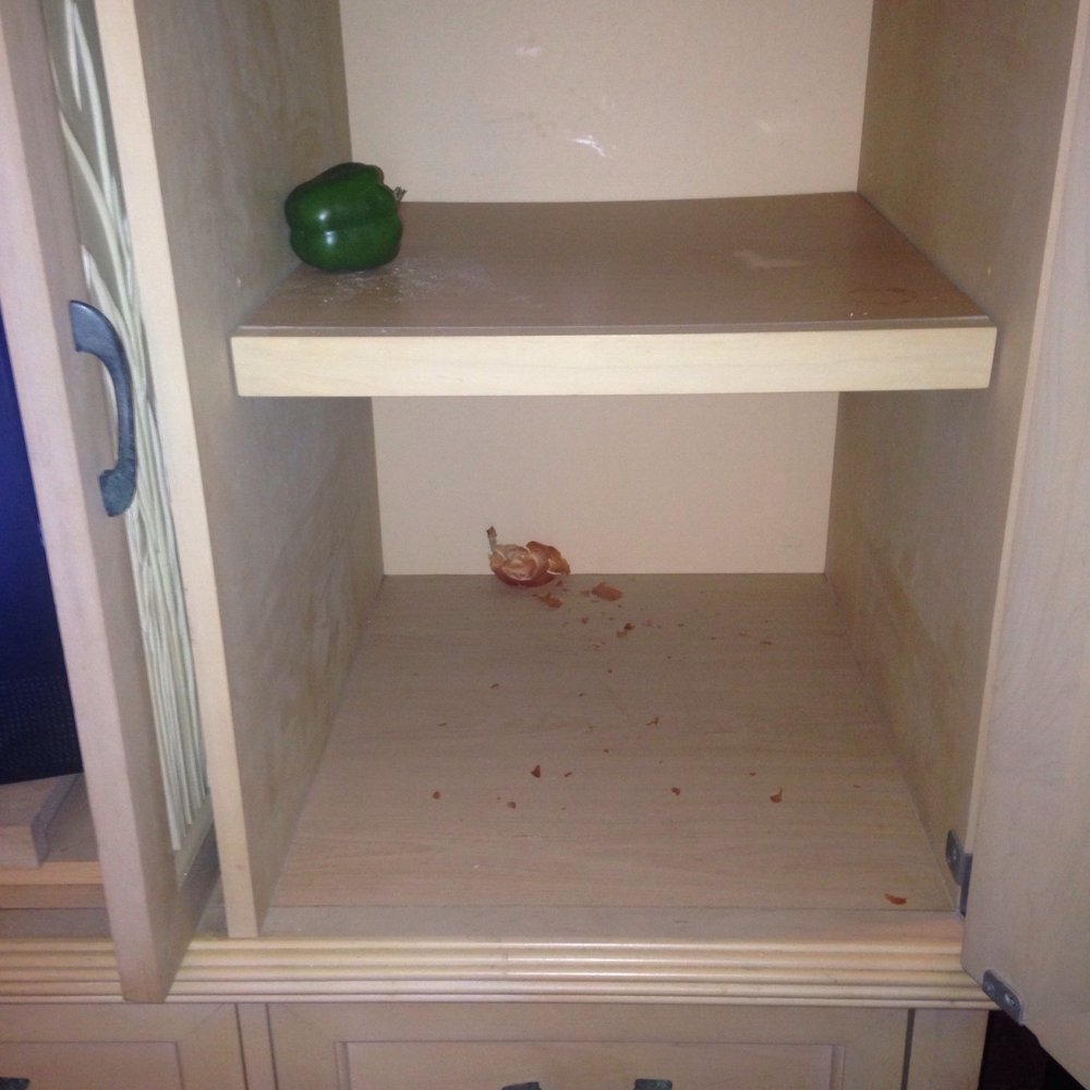 Food left in tv stand Food left in tv stand
