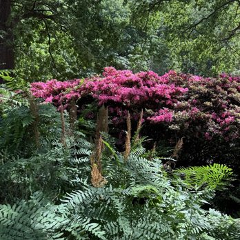 Richmond Park - 6/23/25 - Parks Near Me - Richmond, XGL Richmond Park - 6/23/25 - Parks Near Me - Richmond, XGL