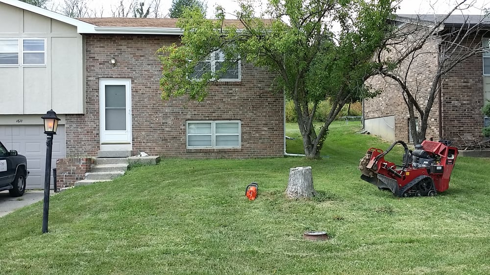 Stump Stomper - tree service in Saint Peters, MO