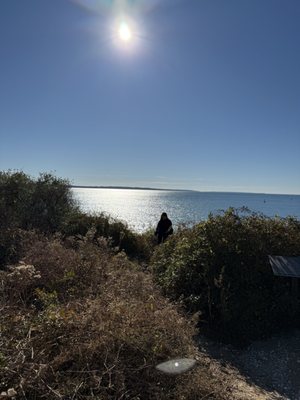 Nobska Lighthouse by null