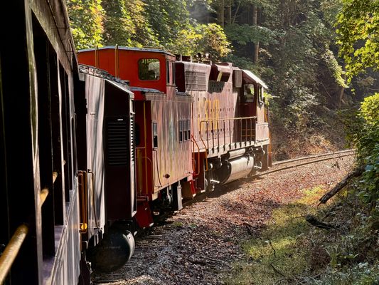 Great Smoky Mountains Railroad by null