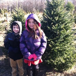 Our Christmas tree! Our Christmas tree!