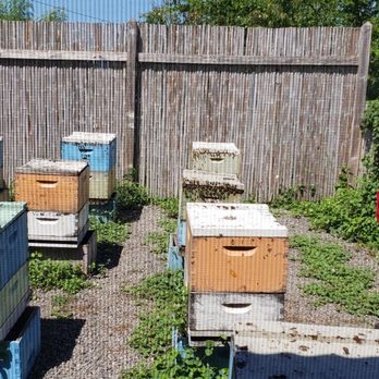 Big Island Bees - A view of the hives from behind the screens. - Honey Near Me - Captain Cook, Hawaii