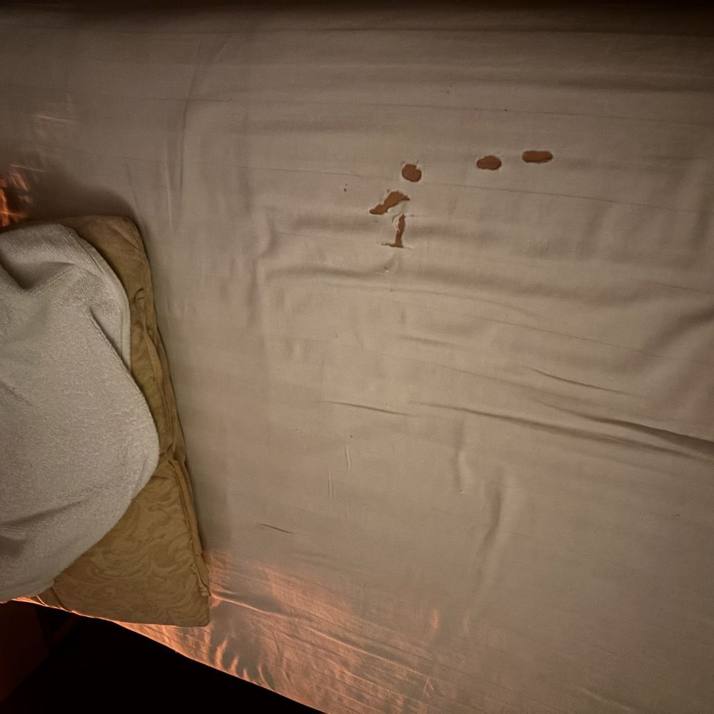 Chic Day Spa - Holes in the sheets - Massage Near Me - Glendora, California