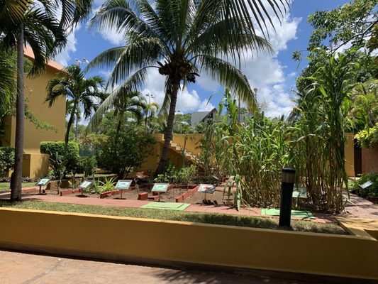 Secrets Aura Cozumel by null