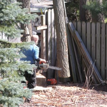 Toad's Tree Service - Tree Services Near Me - West Olive, Michigan Toad's Tree Service - Tree Services Near Me - West Olive, Michigan