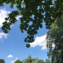 Gibbons Park - Under the shade of an old tree.