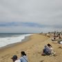 Photo of West Jetty View Park