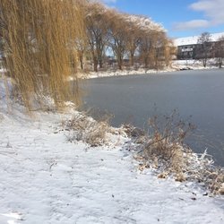 Walking By Wingra Creek In Snow >> Parks In Madison Yelp Walking By Wingra Creek In Snow >> Parks In Madison Yelp