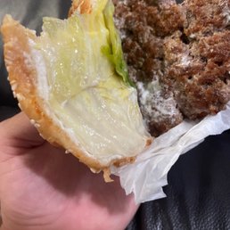 Soggy bread and soggy lettuce