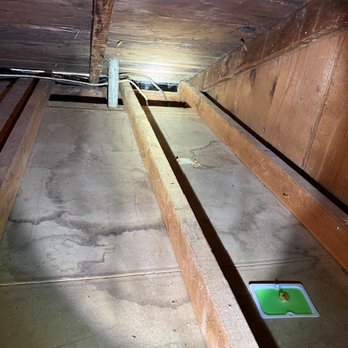 Haderle Pest Control - attic - Pest Control Near Me - Aptos, California
