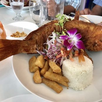 Don Rodone - Seafood Near Me - Hollywood, Florida Don Rodone - Seafood Near Me - Hollywood, Florida
