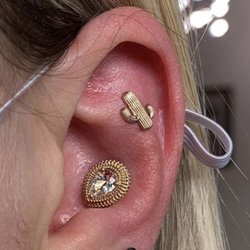 Shaman Modifications Body Piercing Studio - Helix and conch by Annie using BVLA