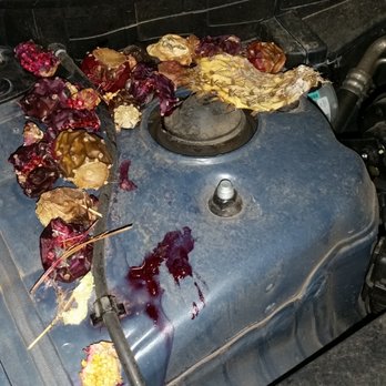 Enterprise Rent-A-Car - Some of the prickly pear juice leaked into the engine! - Car Rental Near Me - Gilbert, Arizona Enterprise Rent-A-Car - Some of the prickly pear juice leaked into the engine! - Car Rental Near Me - Gilbert, Arizona