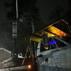 Art-Is-Tree - All weather tree care
