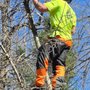 Whits End Tree Care