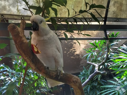 Wildlife Habitat by null