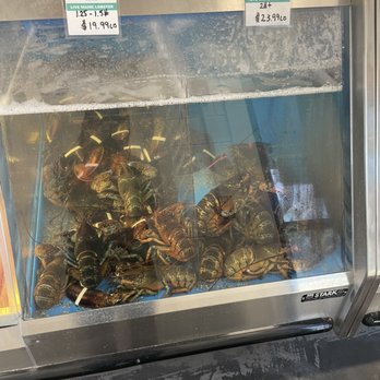 Bar Harbor Seafood - Live lobster - Seafood Near Me - Orlando, Florida Bar Harbor Seafood - Live lobster - Seafood Near Me - Orlando, Florida