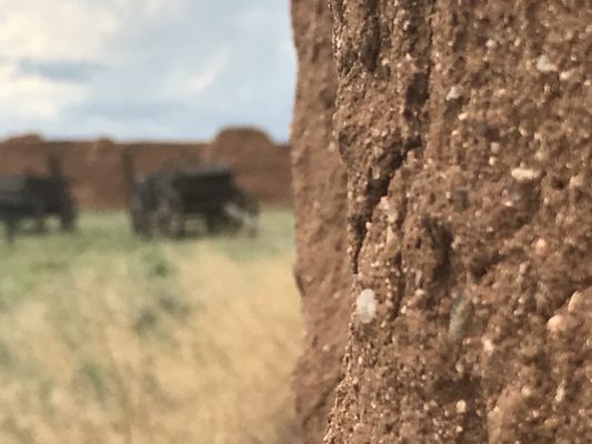 Fort Union National Monument by null