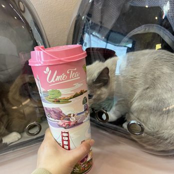 Ume Tea - Bubble Tea Near Me - Los Angeles, California Ume Tea - Bubble Tea Near Me - Los Angeles, California