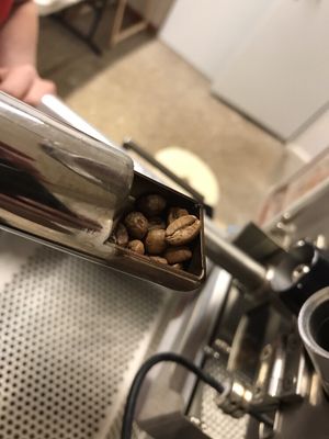 Boconó Specialty Coffee by null