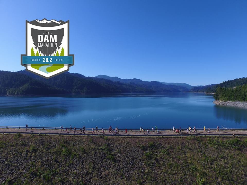 The Dam Marathon Logo