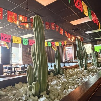 Brasero Tacos Y Tequila - Decoration - Mexican Near Me - Phoenix, Arizona Brasero Tacos Y Tequila - Decoration - Mexican Near Me - Phoenix, Arizona