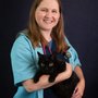 Photo of Chateau Dog & Cat Hospital
