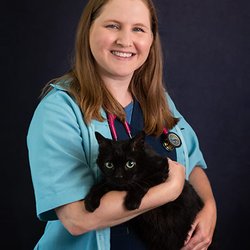 Chateau Dog & Cat Hospital - Dr. Ellen Brown
