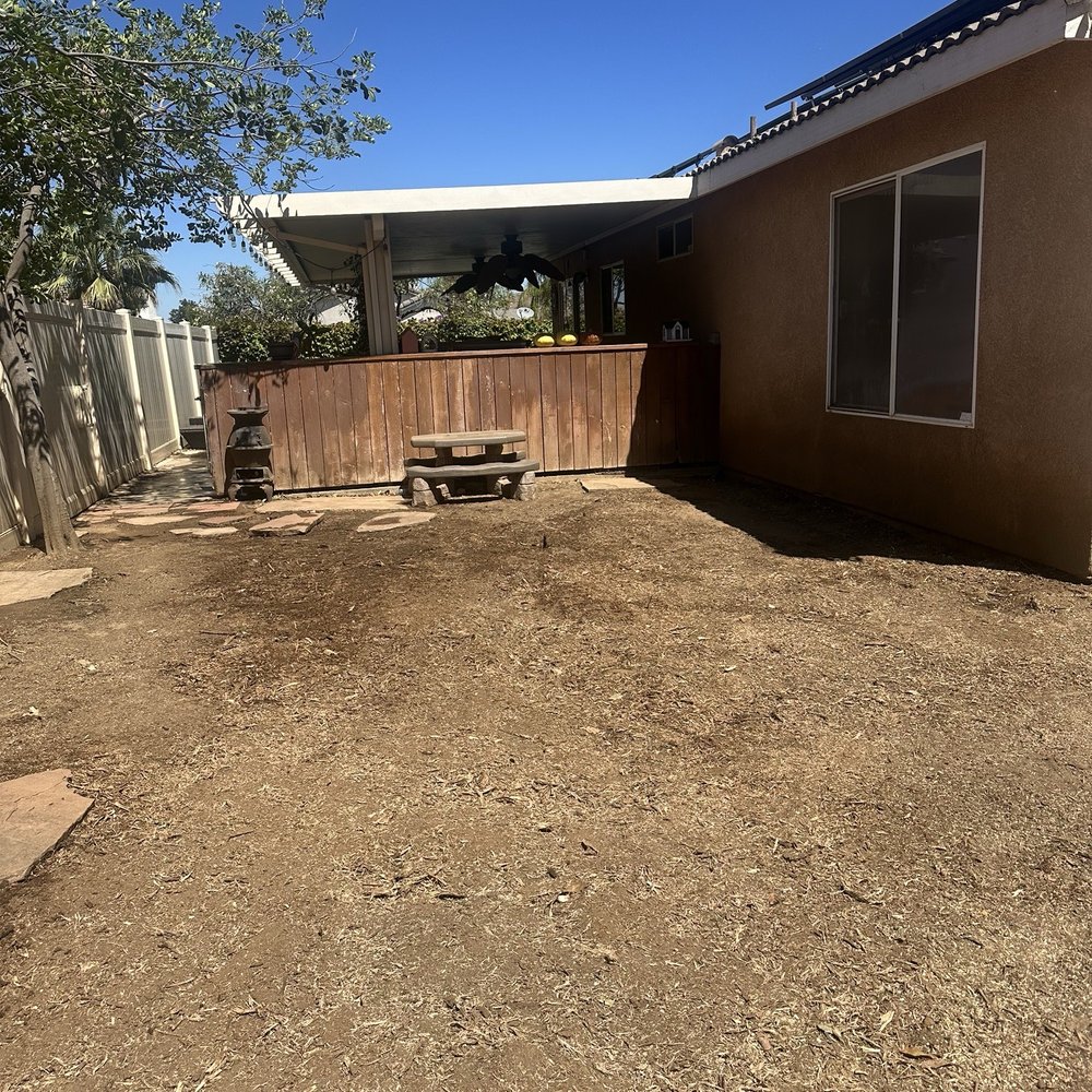 Eco Pro Arbor Care - Tree Services Near Me