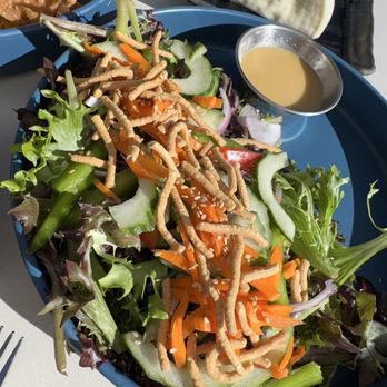 Kane - Kane salad - Indonesian Near Me - Marco Island, Florida Kane - Kane salad - Indonesian Near Me - Marco Island, Florida