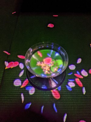 EN TEA HOUSE 幻花亭D rec by null