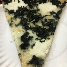 Ricotta and Spinach Slice