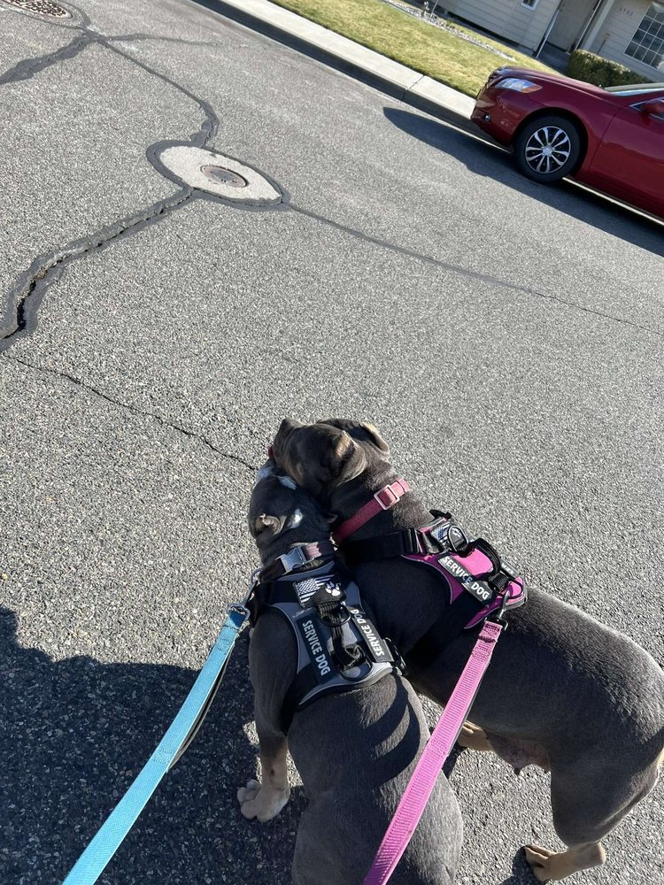 PASCO FLEA MARKET Updated August 2024 41 Photos & 19 Reviews 200