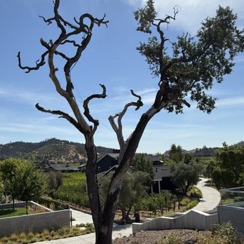 Truss Restaurant & Bar - New American Near Me - Calistoga, California