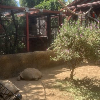Wildlife Learning Center - Zoos Near Me - Sylmar, California Wildlife Learning Center - Zoos Near Me - Sylmar, California