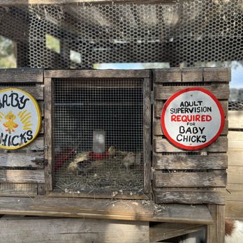 Sweet Eats Adventure Farm - Attraction Farms Near Me - Georgetown, Texas